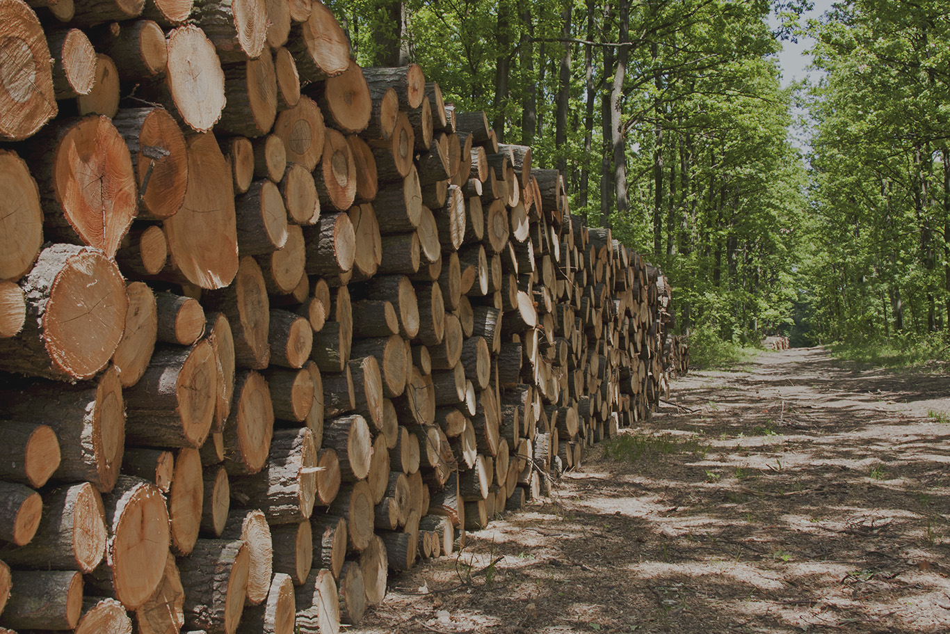 Uittokalusto Kauppa -Uittokalusto Kauppa Global forest industry 1