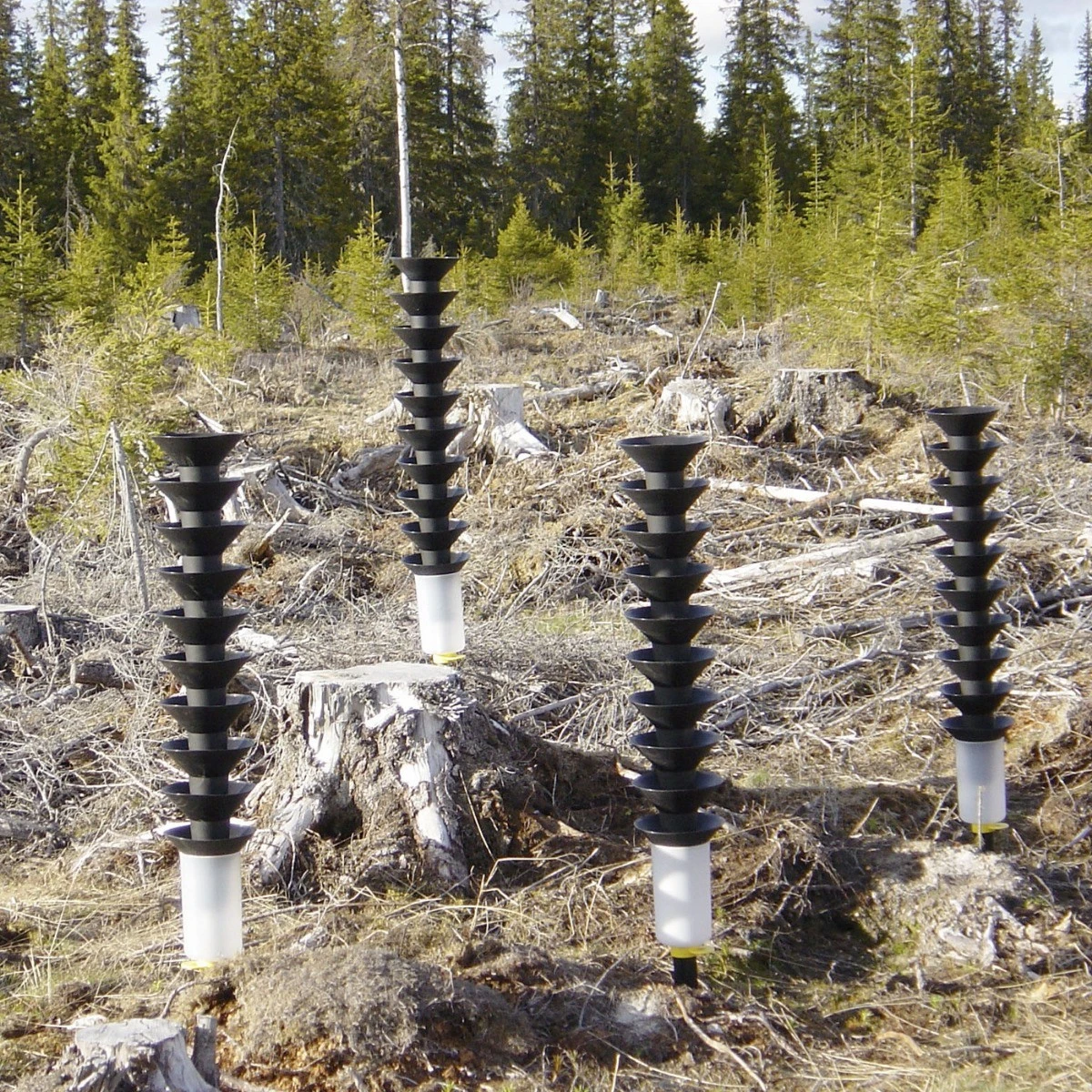 Nordforest Nove Kuoriaisansa 6 Nordforest Nove Kuoriaisansa - Image 4