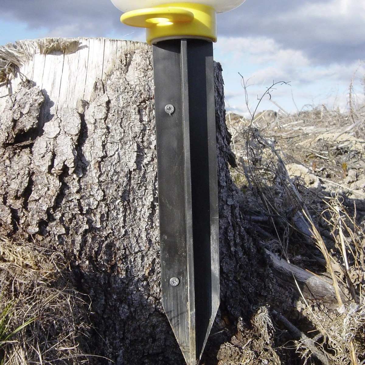 Nordforest Nove Kuoriaisansa 4 Nordforest Nove Kuoriaisansa - Image 2