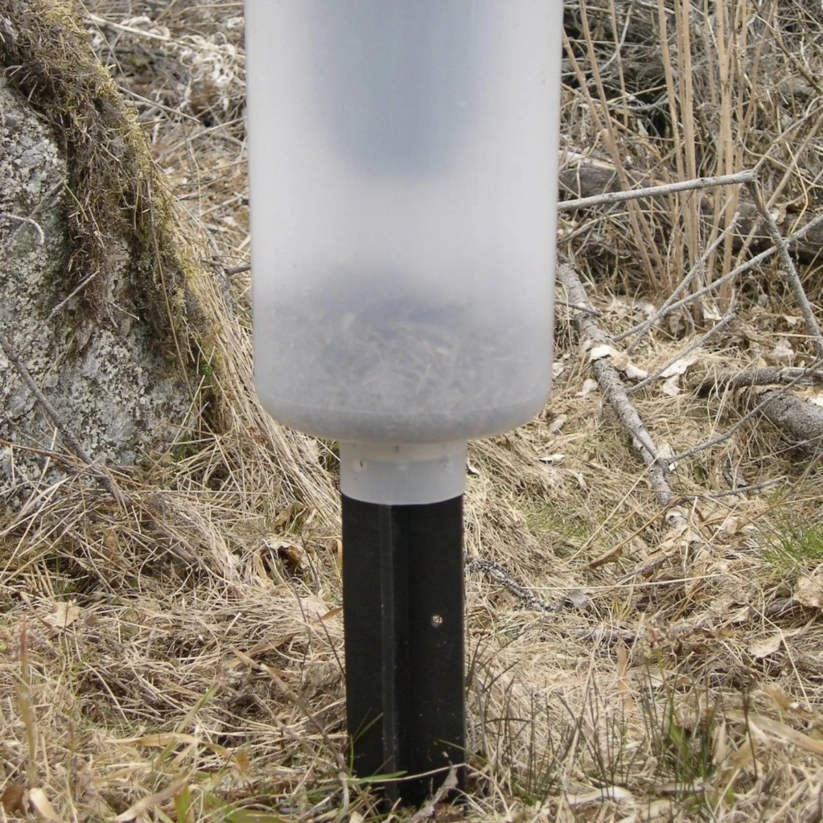 Nordforest Nove Kuoriaisansa 3 Nordforest Nove Kuoriaisansa