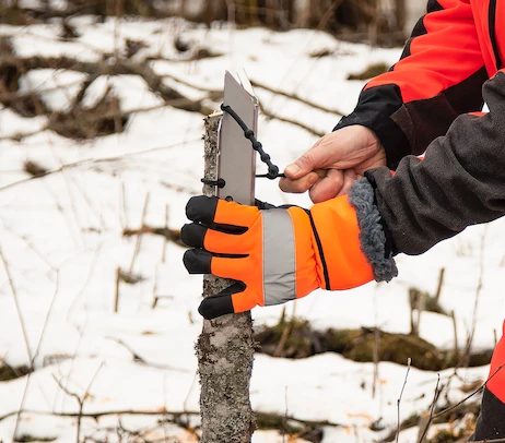 Raite Viilaustuki 4 Raite Viilaustuki - Image 2