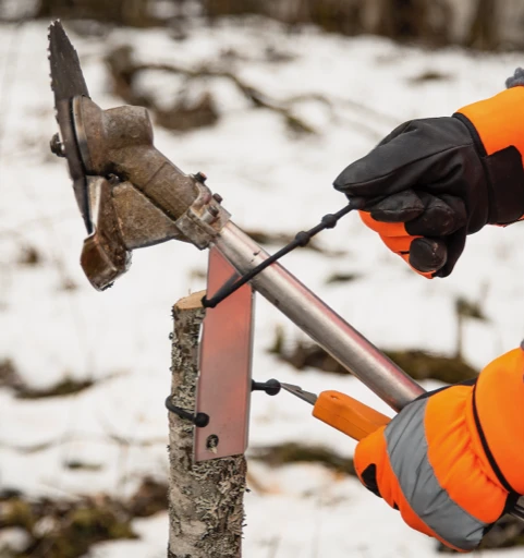 Raite Viilaustuki 5 Raite Viilaustuki - Image 3